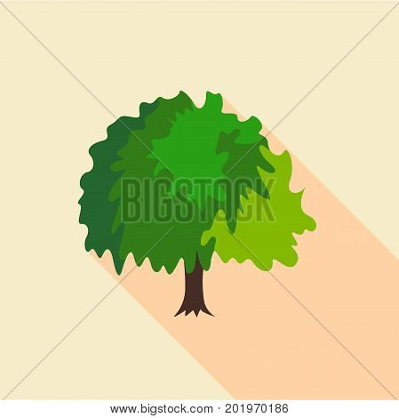 Fluffy tree icon. Flat illustration of fluffy tree vector icon for web