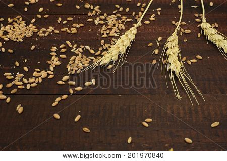 Wheat grains and spikes on brown wooden background