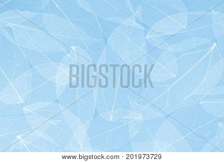 Silhouette leaves pattern on blue background .