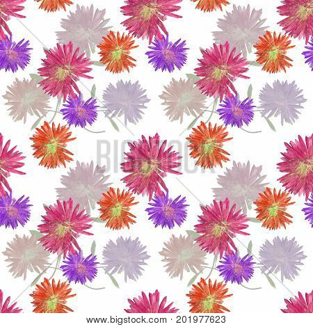 Aster Michaelmas daisy. Texture of flowers. Seamless pattern for continuous replicate. Floral background photo collage for production of textile cotton fabric. For use in wallpaper covers