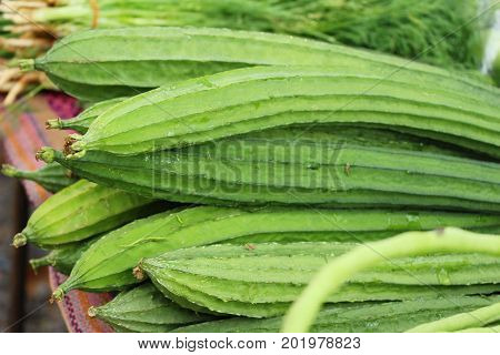 Fresh luffa acutangula for cooking in market