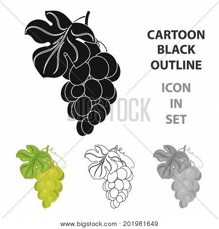 Bunch of yellow grapes icon in cartoon design isolated on white background. Wine production symbol stock vector illustration.