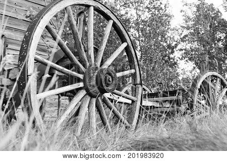 A black and white image of old antique wagon wheels.
