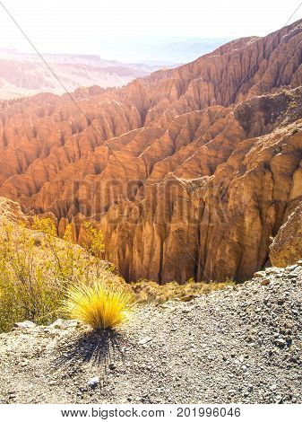 Landscape around Quebrada de Palala Valley with eroded spiky rock formations, El Sillar pass near Tupiza, Bolivia, South America.