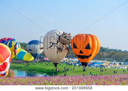 Chiangrai Thailand - Febuary 16 2017 : Singha Park International Balloon Fiesta 2017 In Singha Park,