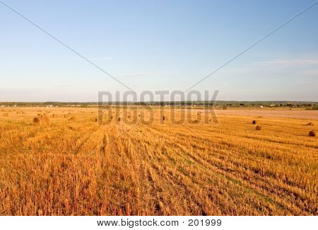 Hayricks