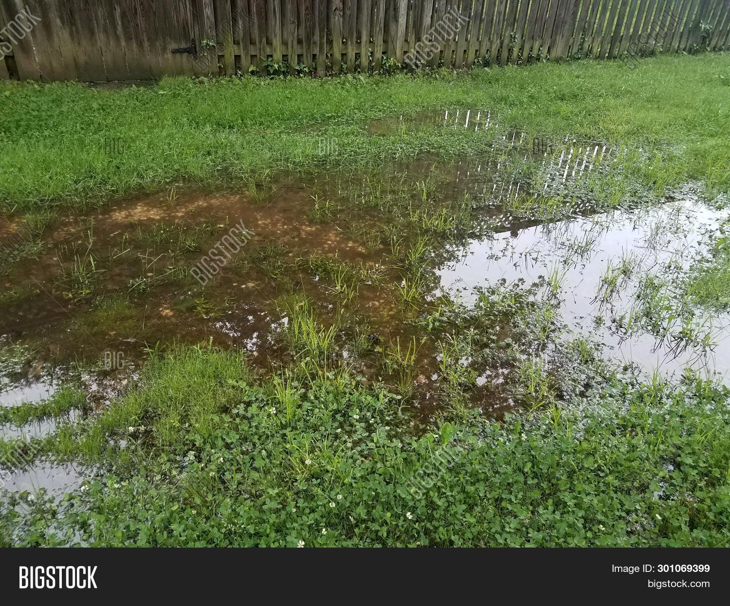Flooded Yard Lawn Image & Photo (Free Trial) Bigstock
