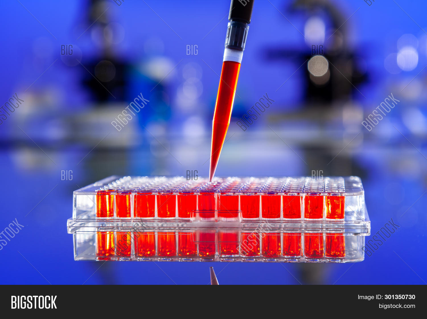 Laboratory Blood Test Image & Photo (Free Trial) Bigstock