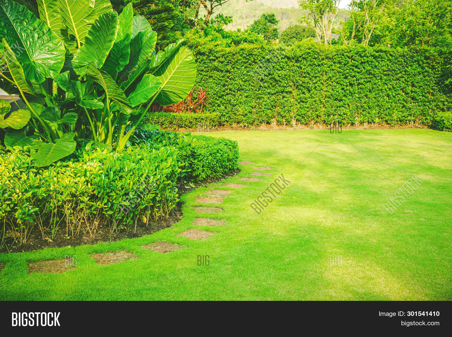 Garden Spring, Image & Photo (Free Trial) Bigstock