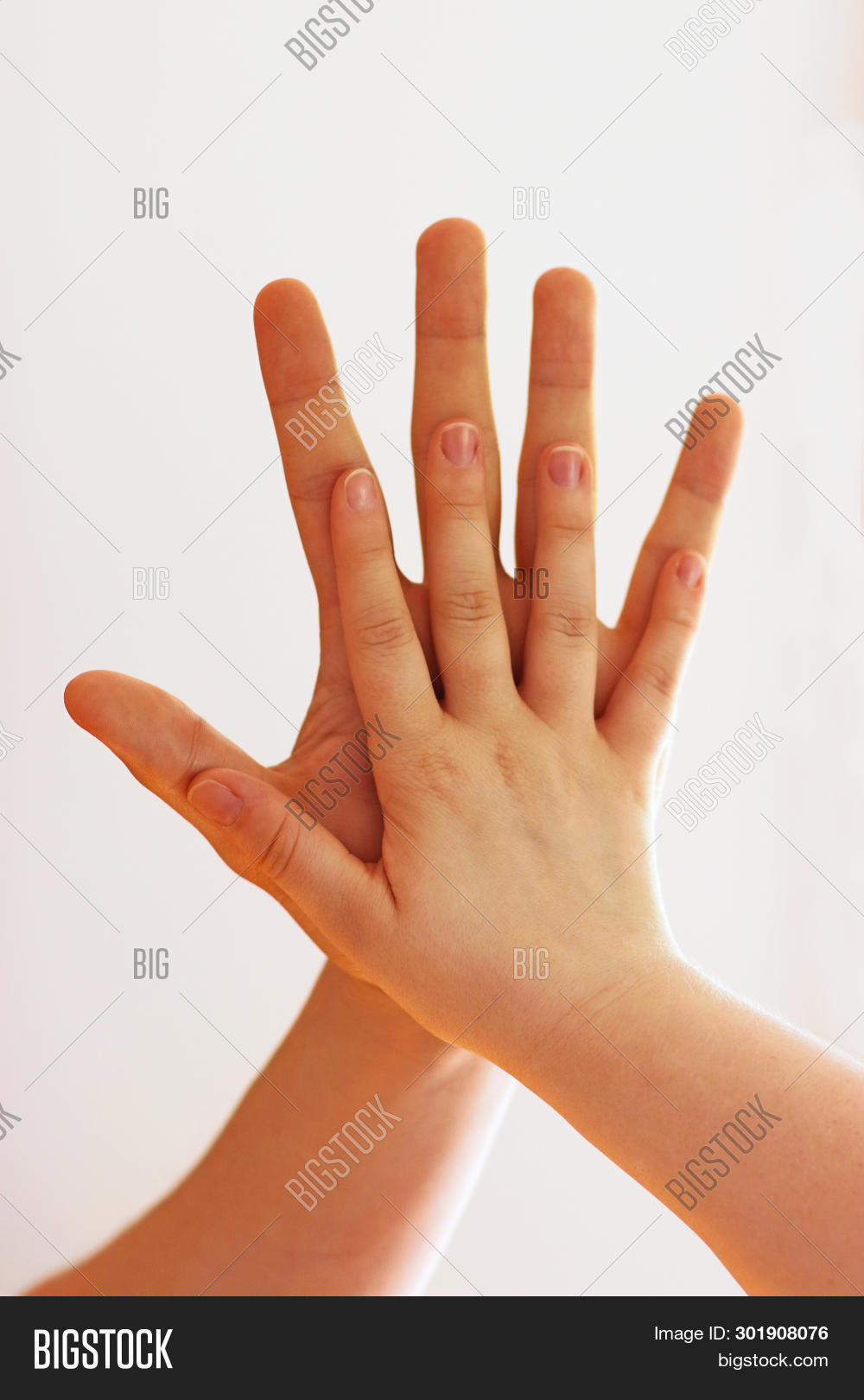 Large Hand Small Hand Image & Photo (Free Trial) Bigstock