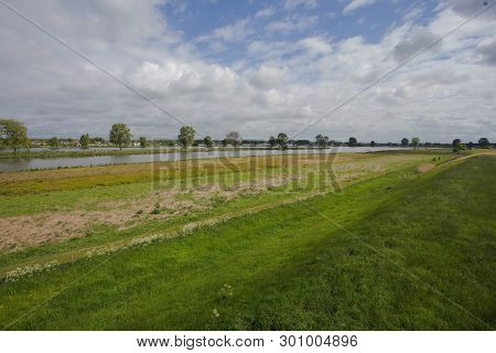 Beautiful View On A Typical Dutch Landscape Near The River Waal And Water, Green Grass, Meadows And