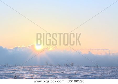 Winter Sun