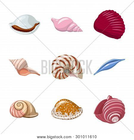 Vector Design Of Seashell And Mollusk Logo. Collection Of Seashell And Seafood  Vector Icon For Stoc