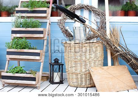 Gardening. Spring Garden Growing Plants In Pots. Wicker Baskets Next To The Garden Equipment Against