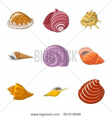 Vector Design Of Seashell And Mollusk Sign. Collection Of Seashell And Seafood  Vector Icon For Stoc