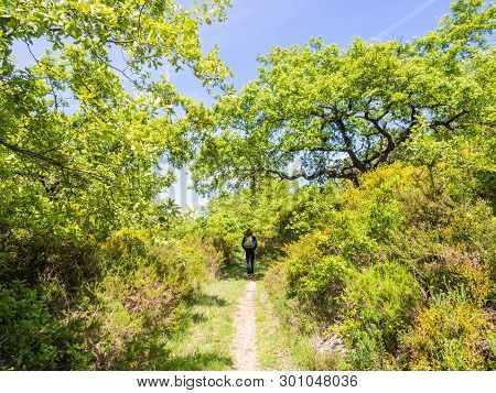 Young Man Treking In Nature North From Lisbon, Portugal, Ona Sunny Day.