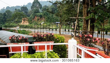 Front Yard Of A Holiday House From Veranda. Beautiful Romantic Patio Decorated With Flowers In Sprin