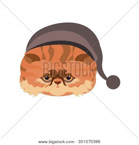 Persian Cat In Hat With Ball Isolated On White