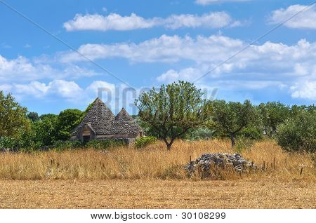Trullo i landskabet. Noci. Puglia. Italien.