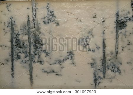Forms With Freshly Made Cheese On Wooden Table