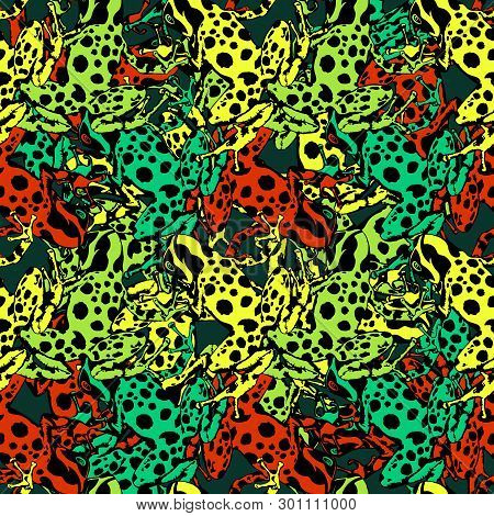 Poison-dart Frogs Dendrobates . Vector Study Of Colors And Patterns. Pattern Of Poisonous Frogs With