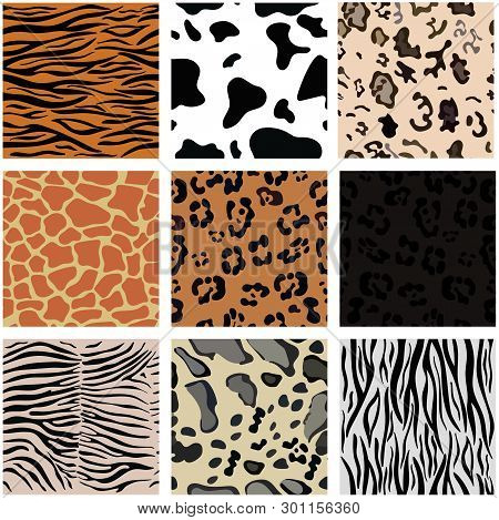 Set Of Nine Seamless Patterns With Animal Skin. Vector Image.
