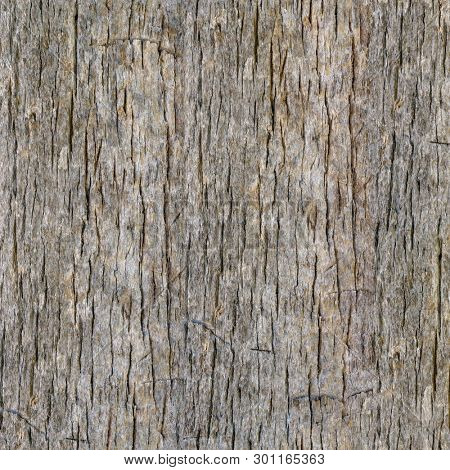 Seamless Palm Tree Bark Background. Tileable Trunk Texture of the Old Palm Tree.