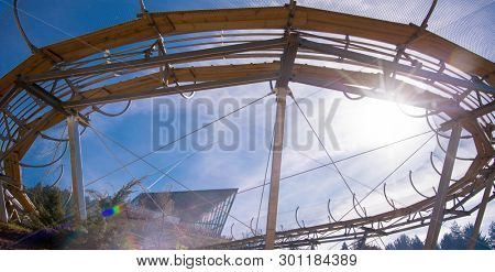 Alpine coaster in beautiful nature