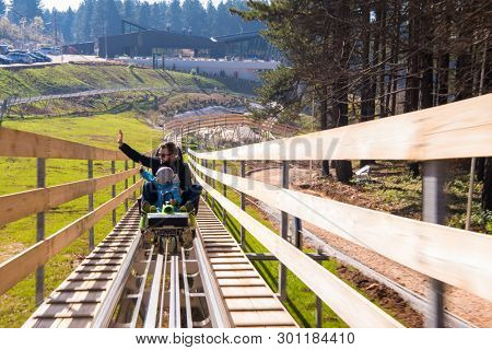 Excited young father and son driving on alpine coaster while enjoying beautiful sunny day in the nature