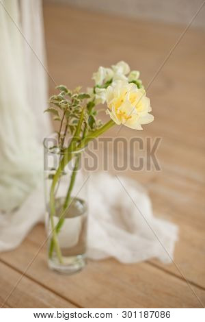 Branch Of Blooming White Peony Tulip Mattiola Branch In A Glass Vase White Wax Candles Stand On The 