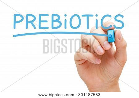 Hand Writing The Word Prebiotics With Blue Marker. Nondigestible Fiber Compounds In Food That Induce