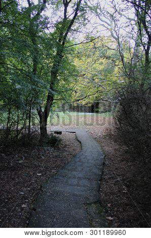 Agios Nikolaos Park Naousa Greece Europe