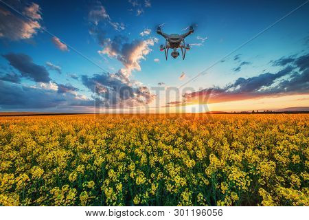 Flying Drone Over The Rapeseed Field And Sunset Dramatic Clouds