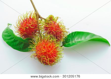 Rambutan Fruit On A White Background, Rambutan Sweet Delicious Fruit, Rambutan Isolated On White Bac
