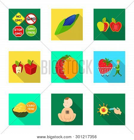 Vector Illustration Of Test And Synthetic Icon. Collection Of Test And Laboratory Vector Icon For St