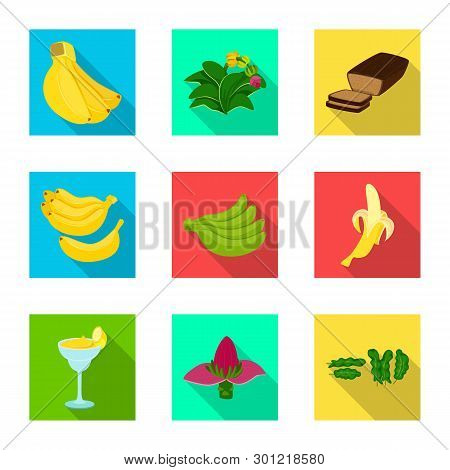 Vector Design Of Natural And Vegetarian Symbol. Set Of Natural And Eating Vector Icon For Stock.