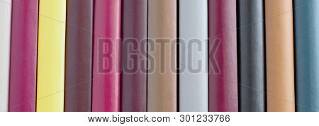 Vertical Multi-colored Roots Of Books, A Lot Of Space For Text. Wide View, Bright Colors, High Contr