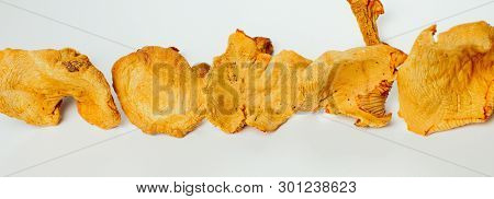 Dried Chanterelles On A Wide Panorama, Bright Natural Color, High Contrast.