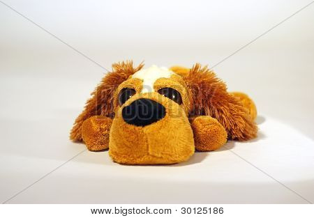 Pluche hond