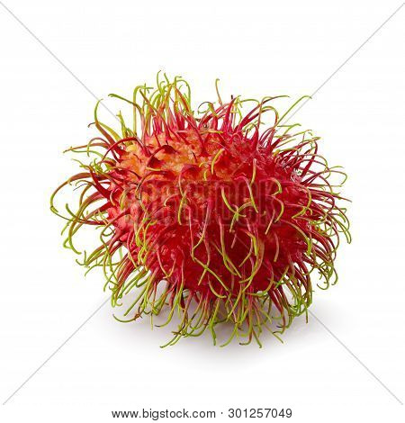 Rambutan Sweet Fruit Isolated Over White Background.