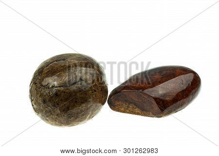 Egg Made Of Wood Nature For Paperweight, Exotic Wooden Beautiful Pattern On White Background