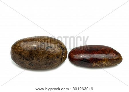 Egg Made Of Wood Nature For Paperweight, Exotic Wooden Beautiful Pattern On White Background