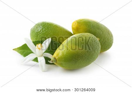 Ripe Limequats And Flower On White Background. Citrus Fruits