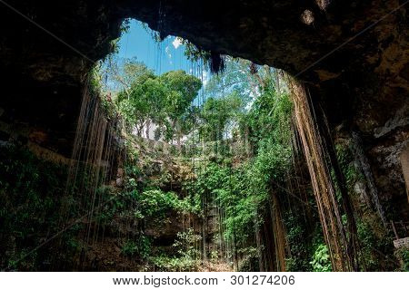 Cenote Ecoturistico Ik-kil With Blue Clear Water