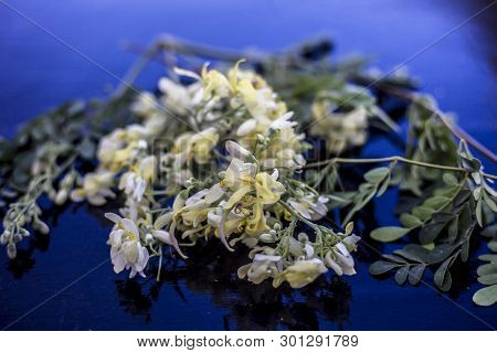 Ayurvedic Herb Drumstick Flowers Along With Some Leaves On Wooden Surface.