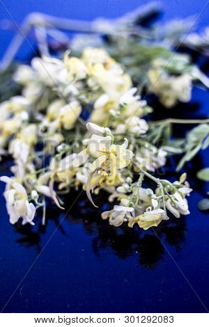 Ayurvedic Herb Drumstick Flowers Along With Some Leaves On Wooden Surface.