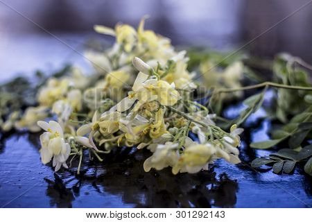 Ayurvedic Herb Drumstick Flowers Along With Some Leaves On Wooden Surface.