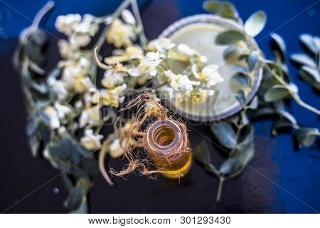 Bunch Of Flowers Of Drumstick On Wooden Surface Along With Its Extracted Essential Concentration Or 