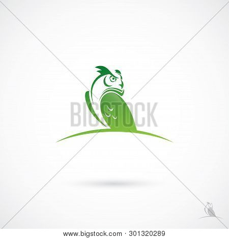 Owl Label - Vector Illustration - Vector