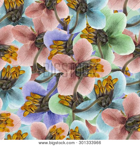 Pyrola. Texture Of Flowers. Seamless Pattern For Continuous Replicate. Floral Background, Photo Coll